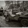 mg 444